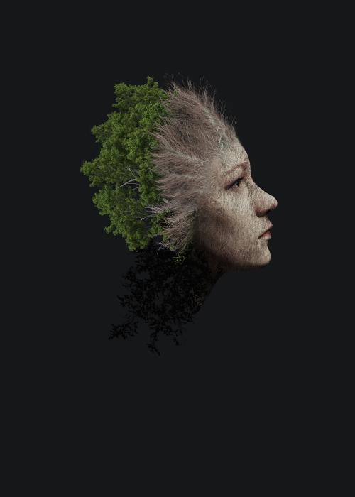 哪里能办植物检疫证书